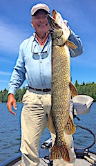Many Trophy Northern Pike Fishing at Fireside Lodge in Canada